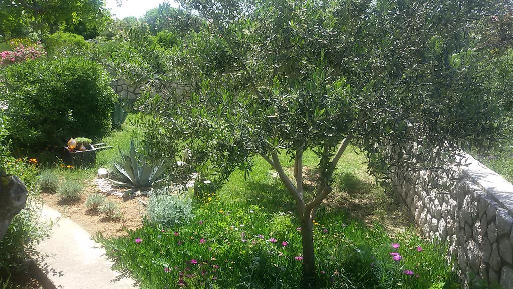 Bed & Breakfast Jugo Novaglia Esterno foto
