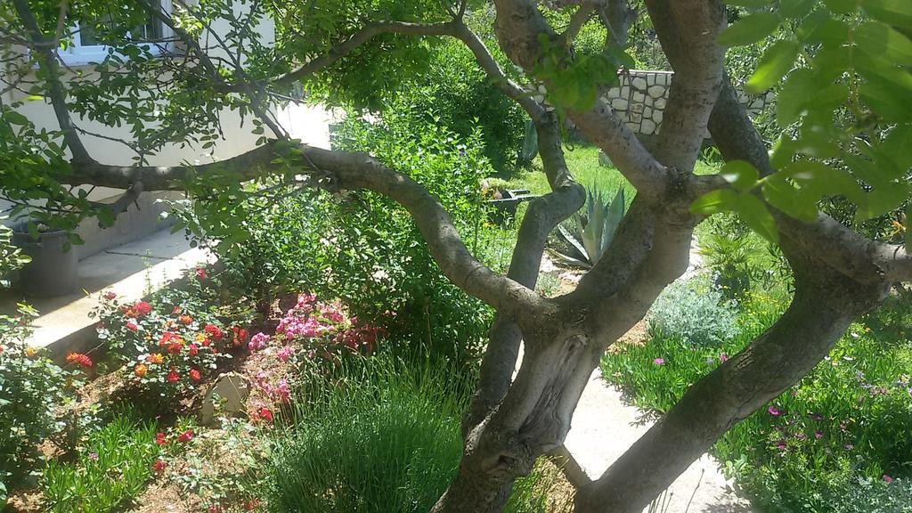 Bed & Breakfast Jugo Novaglia Esterno foto